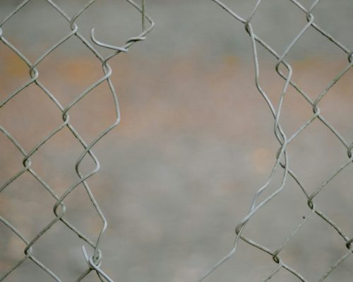 aleksandra-kovacic-Zg0OXzcxtb0-unsplash