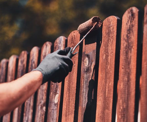 Man in protective gloves is painting wooden fence in bright summer day.